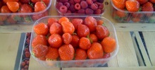 fruits rouges