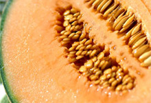 le Melon est en fête à Cavaillon... Venez déguster ce fruit AOC