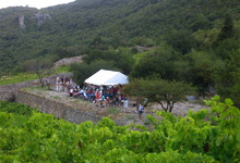 Les circulades vigneronnes en Terrasses du Larzac