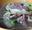 http://www.recettespourtous.com/files/imagecache/recette_fiche/img_recettes/3572_recette-soupe-tibetaine-printemps-chou-blanc-viande.JPG