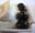 http://www.recettespourtous.com/files/imagecache/recette_fiche/img_recettes/7903_recette-mousse-chocolat-blanc-myrtilles.JPG