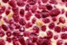 http://www.recettespourtous.com/files/imagecache/recette_fiche/img_recettes/1821_Clafoutis_aux_framboises_3599101_REC.jpg