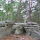 Les rochers étranges de la forêt de Fontainbleau