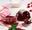 http://www.recettespourtous.com/files/imagecache/recette_fiche/img_recettes/15499_recette_tartelettes_chocolat_cranberries.jpg
