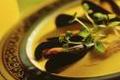 http://www.recettespourtous.com/files/imagecache/recette_fiche/img_recettes/14885_recette_soupe_tunisienne_moules.jpg