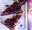 http://www.recettespourtous.com/files/imagecache/recette_fiche/img_recettes/15541_recette_triangles_chocolat_pimente_myrtilles_sauvages.jpg