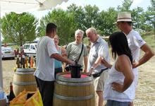 Journée à l'ancienne dans les vignes du Domaine de la Vallière