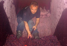 Domaine des Foulards rouges