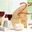 Foire aux fromages et aux vins