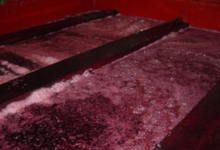 Cuve de vin rouge en fermentation