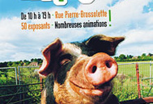 Marché campagnard NLG