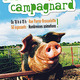Marché campagnard NLG