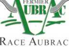 Boeuf fermier Race Aubrac