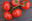 Tiramisu de chèvre et miel aux courgettes et tomates confites