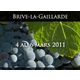 Salon des vins de France 2011