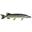 brochet