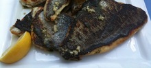poissons