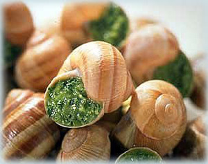 Les Escargots à la Bourguignone