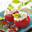 Tomates Farcies Au Roquefort Et Au ChÈvre
