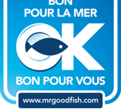 Avec Mr Goodfish, découvrez une consommation responsable du poisson