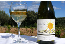 Vin blanc aoc coteaux du languedoc - cuvée faye