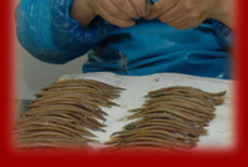 Zone de production de l'anchois de Collioure