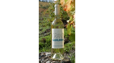 Vin blanc sec - Corbières 2009 - 75 cl 