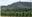 vignes