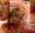 http://www.recettespourtous.com/files/imagecache/recette_fiche/img_recettes/1971_croquettethon.jpg
