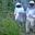 apiculture