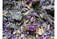 Tisane coup de froid BIO