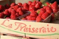 fraises la fraiseraie