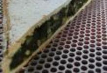 http://www.recettespourtous.com/files/imagecache/recette_fiche/img_recettes/2768_tourte_blette.jpg