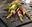 asperges roulées à la ventrêche de cochon et mesclun de salades