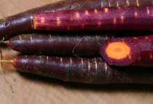 La carotte de sable de santec