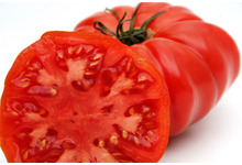 La tomate de marmande