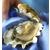 L'huître d'Arcachon-Cap Ferret
