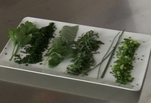 Préparer des herbes fraîches