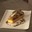 Râble de lapin au basilic, polenta crousti-moelleuse