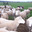 ferme de beaumont