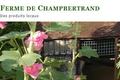Earl de Champbertrand