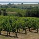 Vignoble des Côtes de Blaye et estuaire de la Gironde