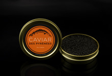 Acheter le caviar des Pyrénées