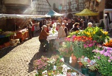 4ème Marché du Goût à Eguisheim