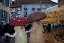 Fête du Champignon à Eguisheim