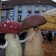 Fête du Champignon à Eguisheim