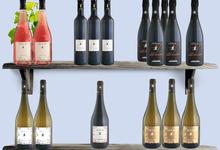 Domaine du Clos de l'Elu
