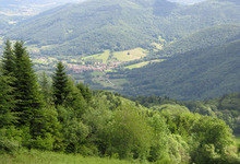 vallée de l'arbas