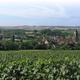 Vignoble de Villenauxe-la-Grande 
