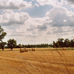 paysage du Bergeracois